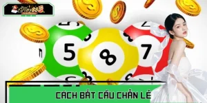 Cách Bắt Cầu Chẵn Lẻ Theo Cao Thủ, Nâng Tỉ Lệ Chiến Thắng