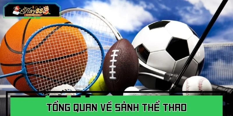 Khái quát về chuyên mục thi đấu thể thao 